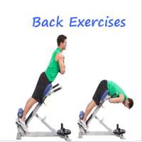 Back exercises on 9Apps