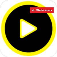 Snake Video App & New Funny Video App