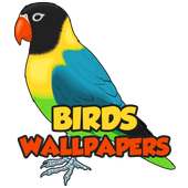 Birds Wallpapers HD on 9Apps