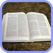 Estudos Bíblicos: Bíblia