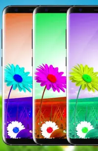 Green Grass Live Wallpaper HD APK Download 2023 - Free - 9Apps Green Grass Live Wallpaper HD APK Download 2023 - Free - 9Apps
