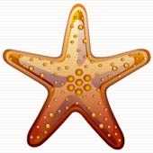MyStarfish