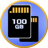  100GB Memory card