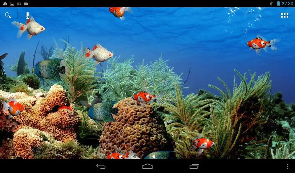 Aquarium Free Live Wallpaper APK Download 2023 - Free - 9Apps
