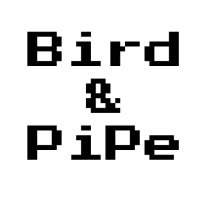 Bird and Pipe