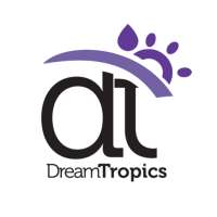 Dream Tropics on 9Apps
