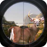 Deer Hunting In Jungle: Sniper Shooting