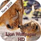 Lion Wallpaper HD 2019 on 9Apps