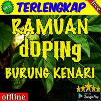 Ramuan Doping Burung Kenari