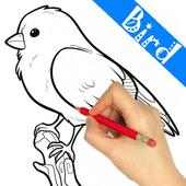 How To Draw Birds Step by Step