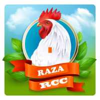 Raza Chicken Center Nashik