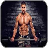 Full Body Workout - Training on 9Apps