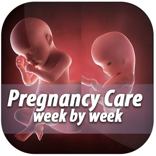 Pregnancy care week by week