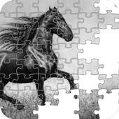 Horse Game Puzzle