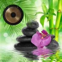 Relaxing Water Sounds: Meditation Gong on 9Apps