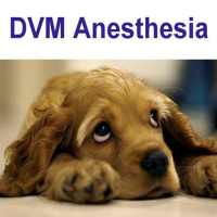 DVM Anesthesiology on 9Apps