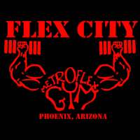 Flex City on 9Apps