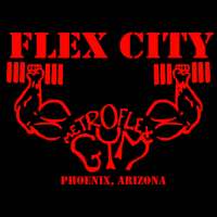 Flex City