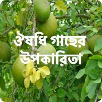 ঔষধি গাছের উপকারিতা - Medicinal Plant & রোগ নিরাময় on 9Apps