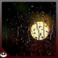 Midnight Rain Sprint on Window