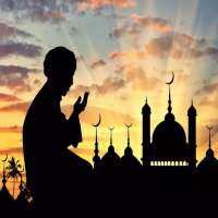 Muslim Pocket Tools- Quran, Prayertime & Qibla