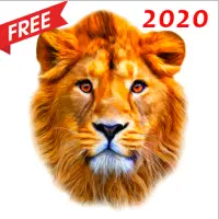 Animal Sounds APK Download 2023 - Free - 9Apps Animal Sounds APK Download 2023 - Free - 9Apps