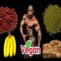 Vegan Bodybuilding App