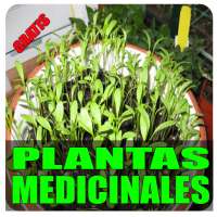 Plantas medicinales, cultivo y dietas on 9Apps