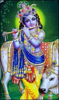 Lord Krishna Photos Wallpaper APK Download 2023 - Free - 9Apps Lord Krishna Photos Wallpaper APK Download 2023 - Free - 9Apps