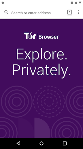 Tor Browser screenshot 8
