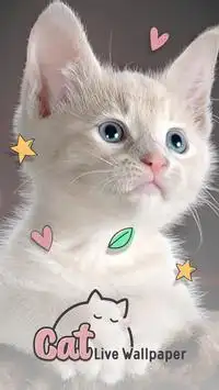 Descarga de la aplicación Fondos de pantalla gatos animados 2023 - Gratis - 9Apps Descarga de la aplicación Fondos de pantalla gatos animados 2023 - Gratis - 9Apps