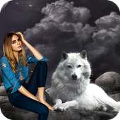 The Wolf Photo Among Evolution Frame Editor on 9Apps