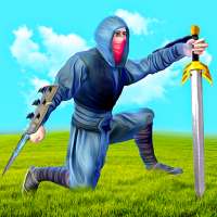 Ninja Warrior - Assasin Creed