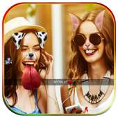 Face Swap-Live Sticker Camera, Snappy Photo Editor on 9Apps
