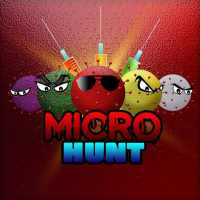 Micro Hunt
