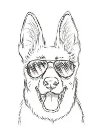 Animal Sketch Drawing APK Download 2023 - Free - 9Apps Animal Sketch Drawing APK Download 2023 - Free - 9Apps