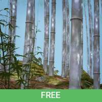 Живые обои Бамбуковая роща 3D бесплатная версия