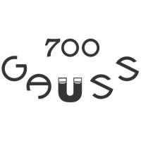 700 Gauss Lite on 9Apps