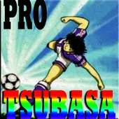 Pro Captain Tsubasa Free Game Hints