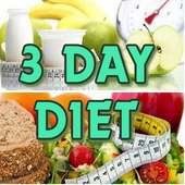 3 Day Diet