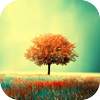 Awesome-Land Live wallpaper HD : Grow more trees