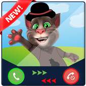 Call from Talking Cat Tom!