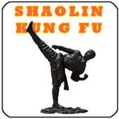 Shaolin Kung Fu Training on 9Apps