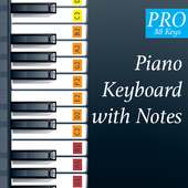 Piano Keyboard with Notes