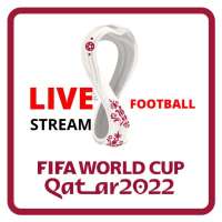 FIFA World Cup 2022 Live Updates - Score, Fixtures