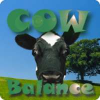 Cow Balance