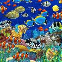 Ocean Fish Wallpaper