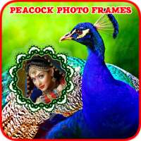 Peacock Photo Frames