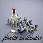 Plantas Medicinales Gratis