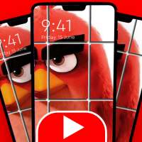 Angry Videos New birds Show